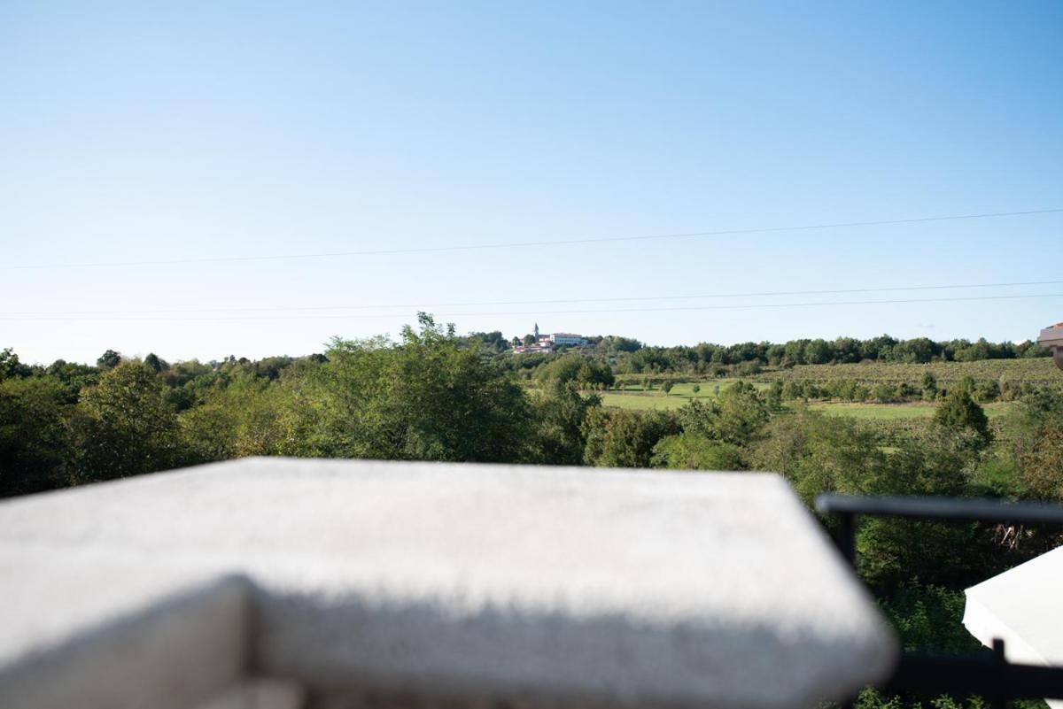 Castle House Rooms, Swimming Pool & Sauna & Tennis Court & Wine Cellar Sežana Exterior foto