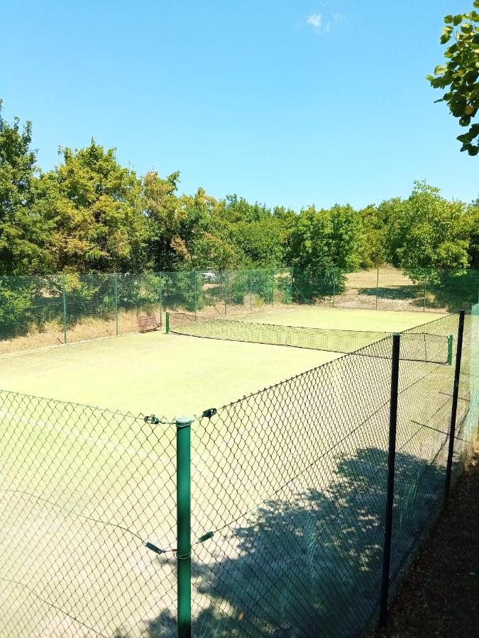 Castle House Rooms, Swimming Pool & Sauna & Tennis Court & Wine Cellar Sežana Exterior foto